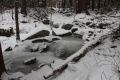 Ricketts Glen State Park im Winter