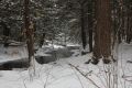 Ricketts Glen State Park im Winter